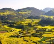 整治排查數萬臺變壓器 保地區(qū)用電穩(wěn)定——云南曲靖供電局