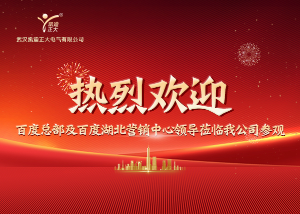 百度總部及湖北營銷中心領(lǐng)導蒞臨我司，共繪合作新藍圖